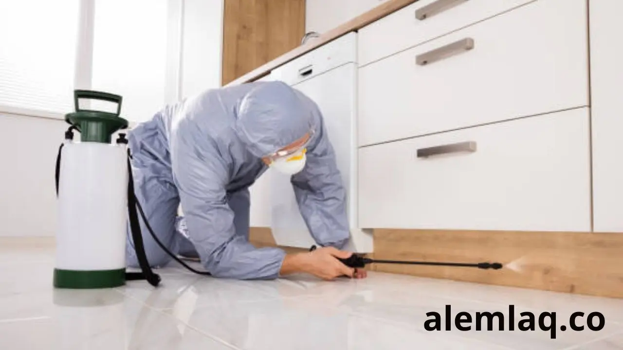 مميزات شركة مكافحة الحشرات في أم القيوين