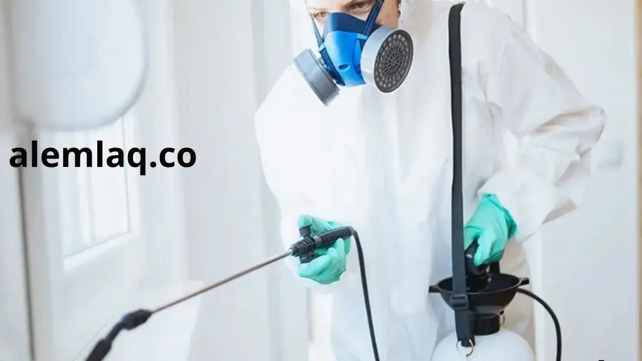 خدمات شركة مكافحة حشرات الفجيرة