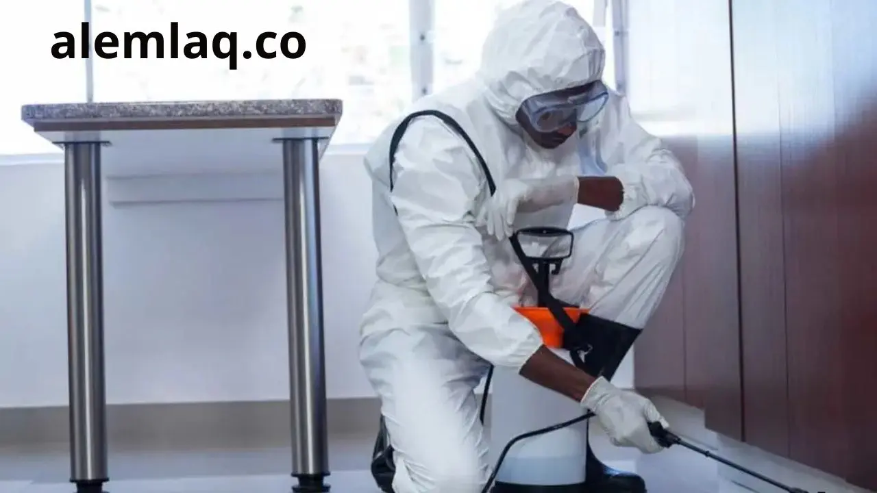 نصائح شركة مكافحة حشرات في الفجيرة