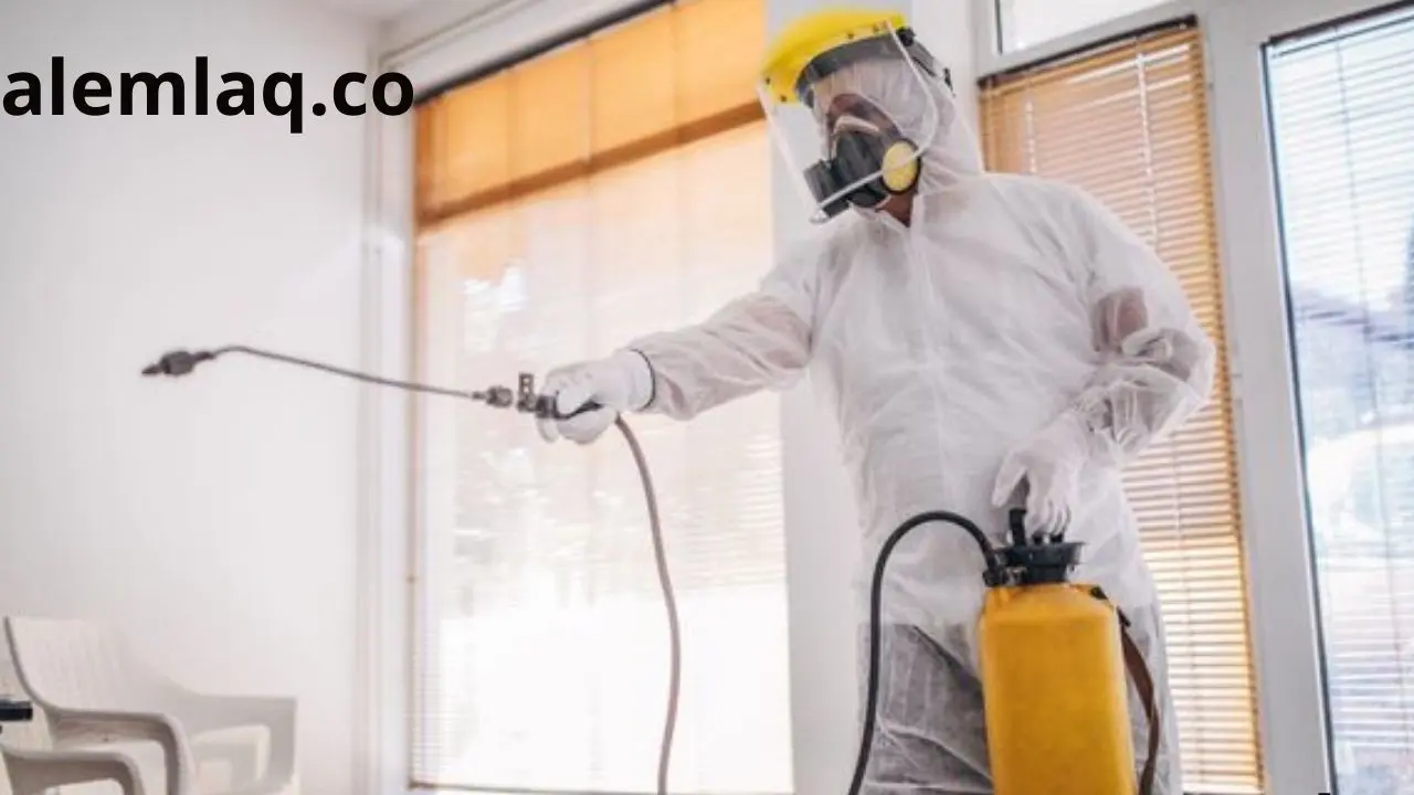 شركات مكافحة الحشرات في رأس الخيمة