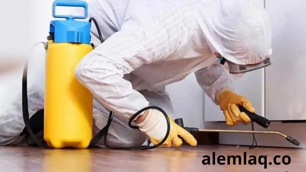 مكافحة الحشرات في رأس الخيمة