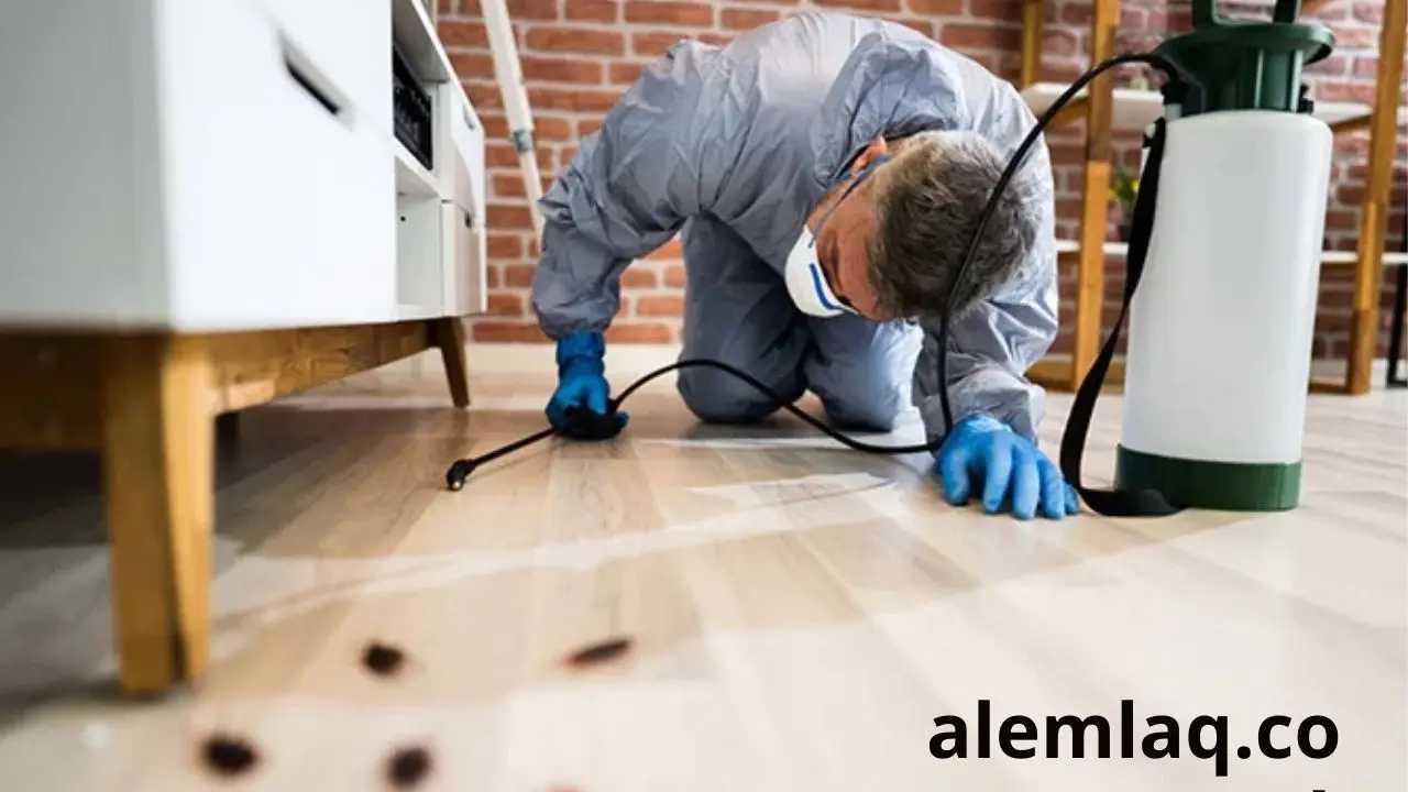 مكافحة الصراصير في رأس الخيمة