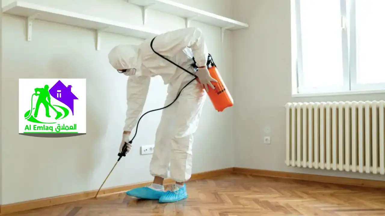 شركة مكافحة الحشرات في العين