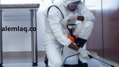 مكافحة حشرات الفجيرة