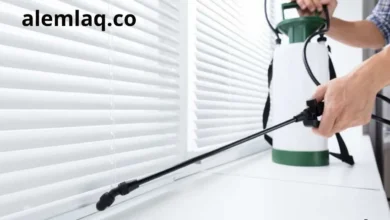 شركة مكافحة حشرات في الفجيرة