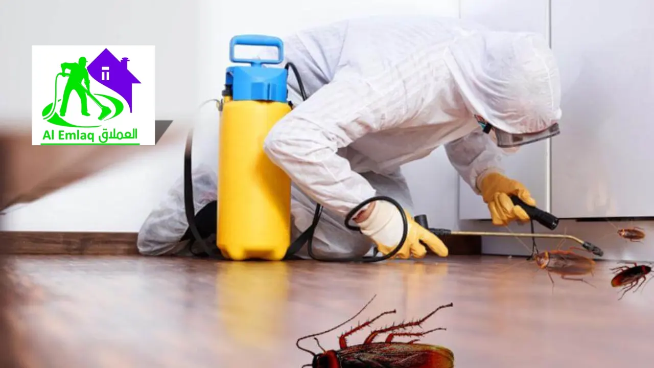 شركة مكافحة صراصير في ام القيوين