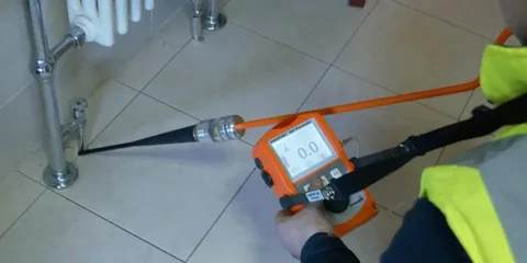أهمية الاعتماد على شركة للقضاء على النمل الأسود في رأس الخيمة