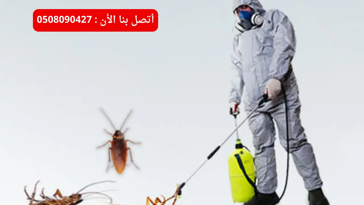شركة مكافحة صراصير في ابو ظبي