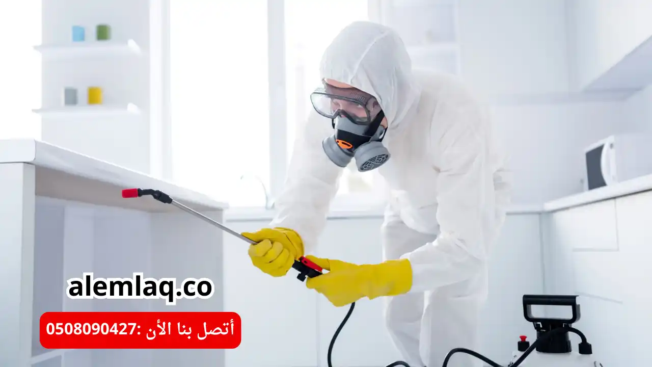 أفضل شركة مكافحة النمل الأسود في العين