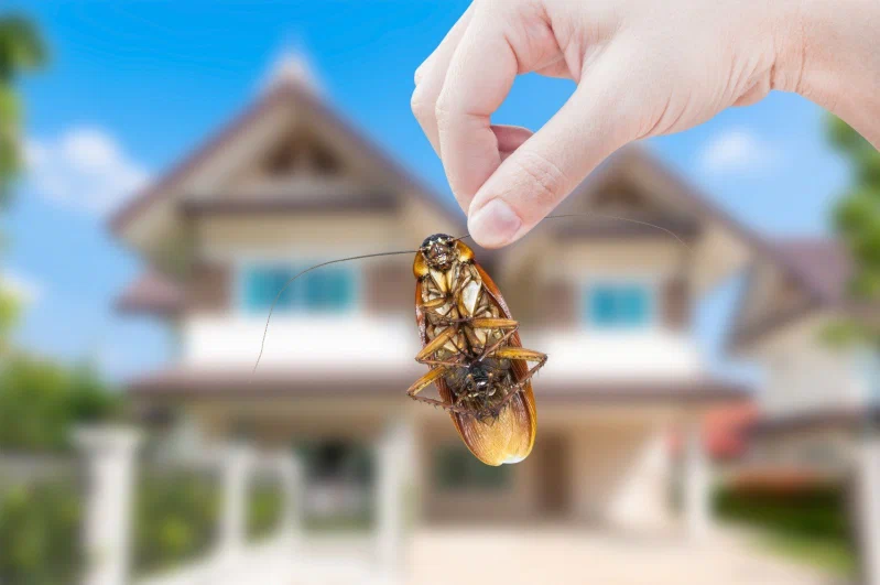 شركة العملاق 0508090427