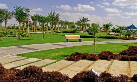 خدمات تنسيق وترتيب الحدائق في عجمان