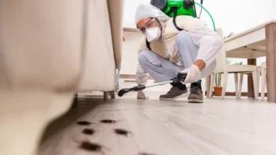شركة مكافحة النمل الأسود في العين