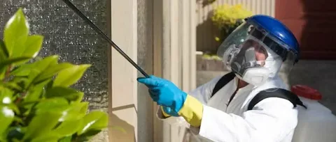  تأثير الصراصير على البيئة وصحة المجتمع العامة