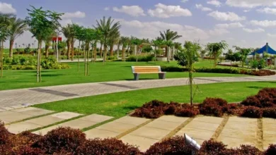 خدمات تنسيق وترتيب الحدائق في راس الخيمة