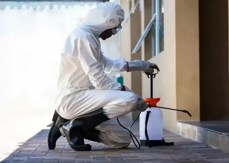 كيفية إبقاء المنزل خالياً من الصراصير