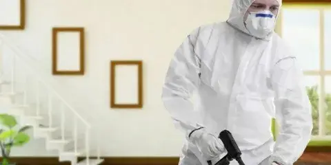 مكافحة صراصير في ابو ظبي