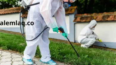 شركة مكافحة الحشرات في الفجيرة