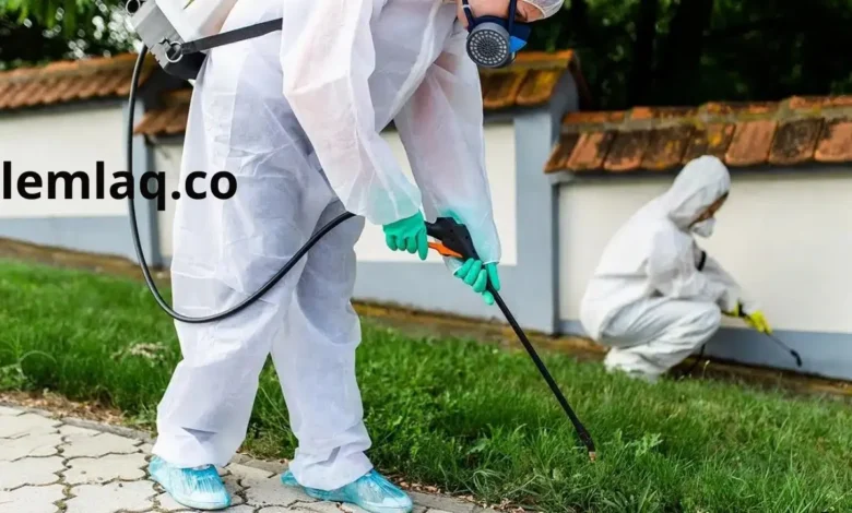 شركة مكافحة الحشرات في الفجيرة