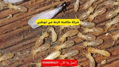 شركة مكافحة الرمة في ابوظبي