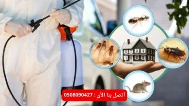 شركة مكافحة صراصير في ابو ظبي