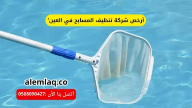 أرخص شركة تنظيف المسابح في العين