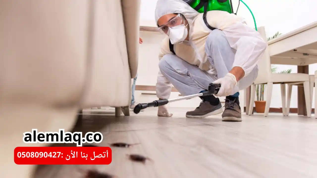 شركة مكافحة النمل الأسود في العين