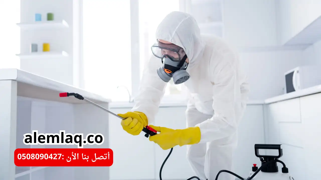 شركة مكافحة النمل الأسود في العين