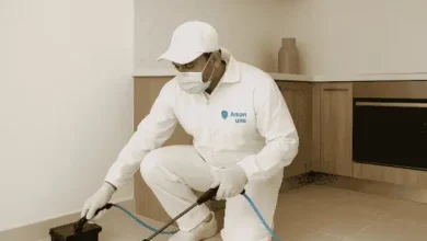 مكافحة الحشرات في عجمان