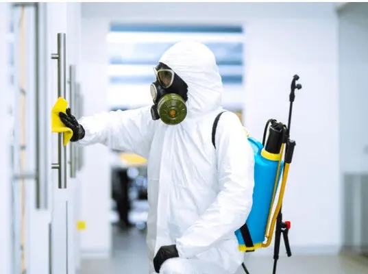 خدمات شركة مكافحة الحشرات في دبي