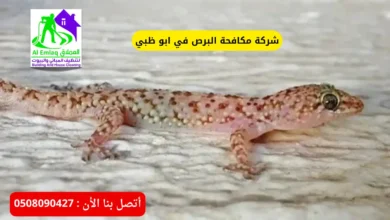 شركة مكافحة البرص في ابو ظبي