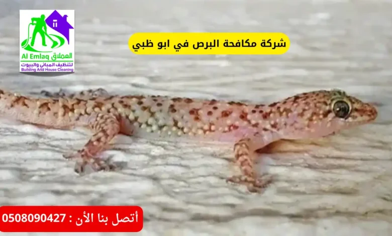 شركة مكافحة البرص في ابو ظبي