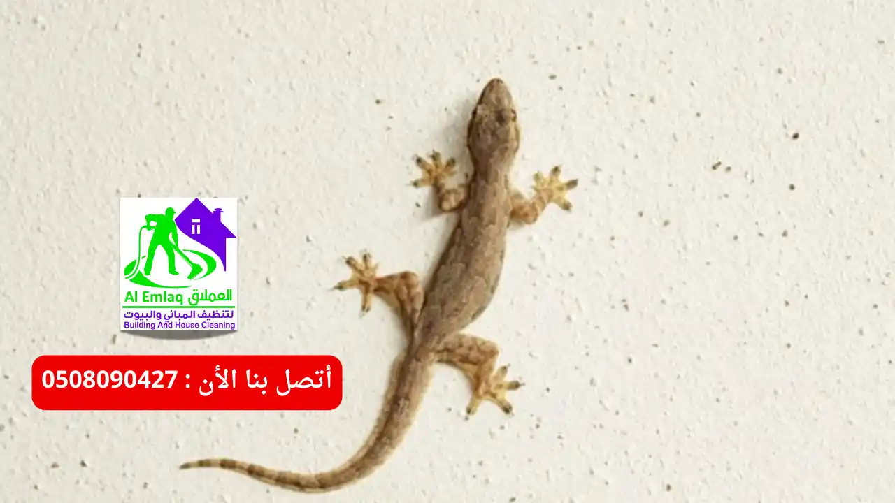 خدمات شركة مكافحه البرص أبوظبي