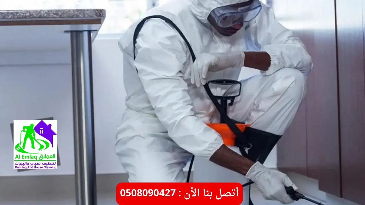 مكافحة النمل الابيض في أبو ظبي