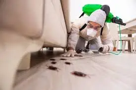 شركة مكافحة حشرات في دبا الفجيرة