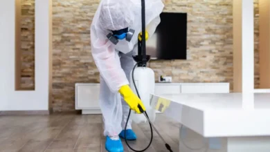 خدمات العملاق لمكافحة الحشرات في الفجيرة