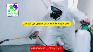 شركة مكافحة النمل الابيض في أبو ظبي