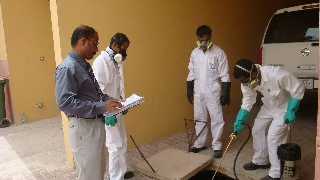 علامات ظهور السحالي في المنزل وطرق التعامل معها