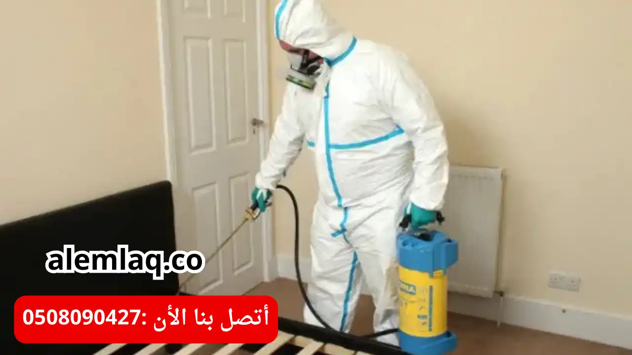 خدمات شركة مكافحة النمل الابيض في العين