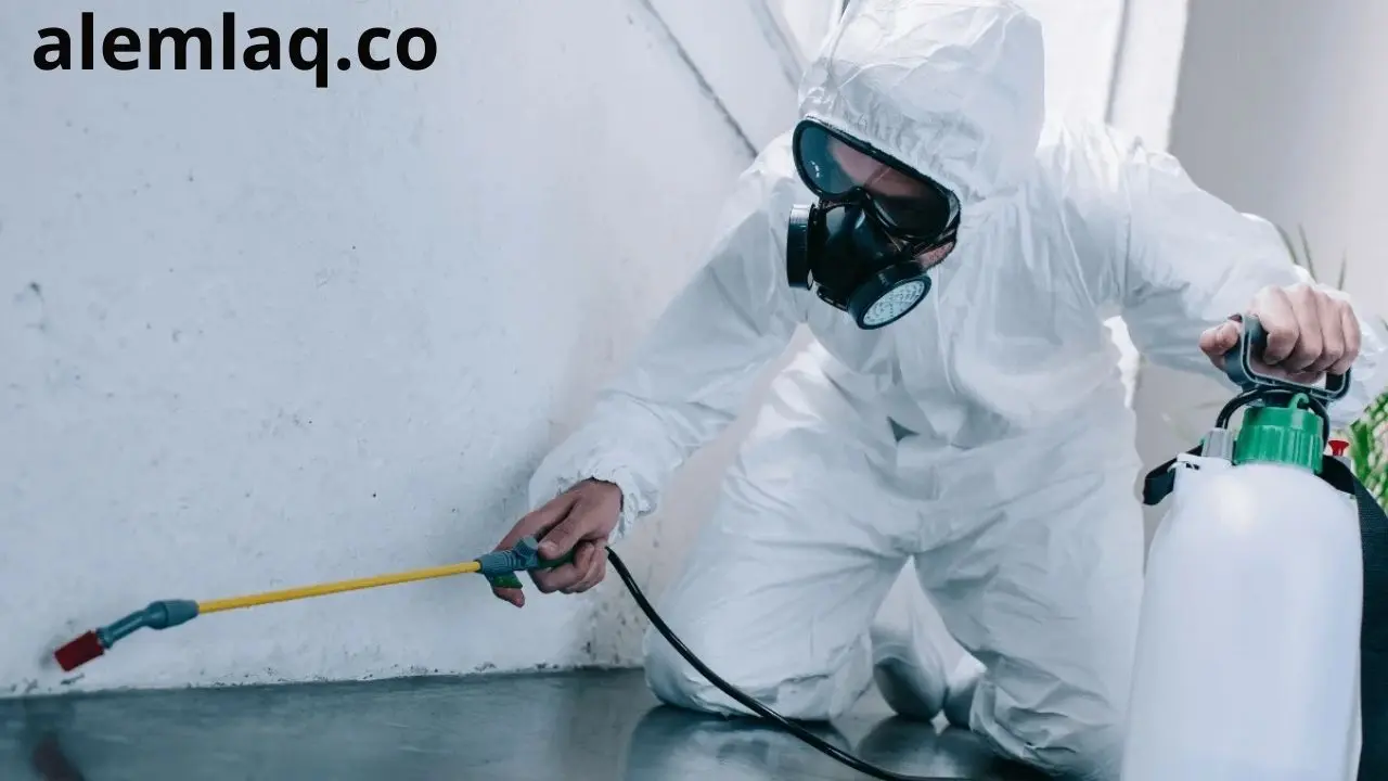 أرخص شركة مكافحة حشرات في العين