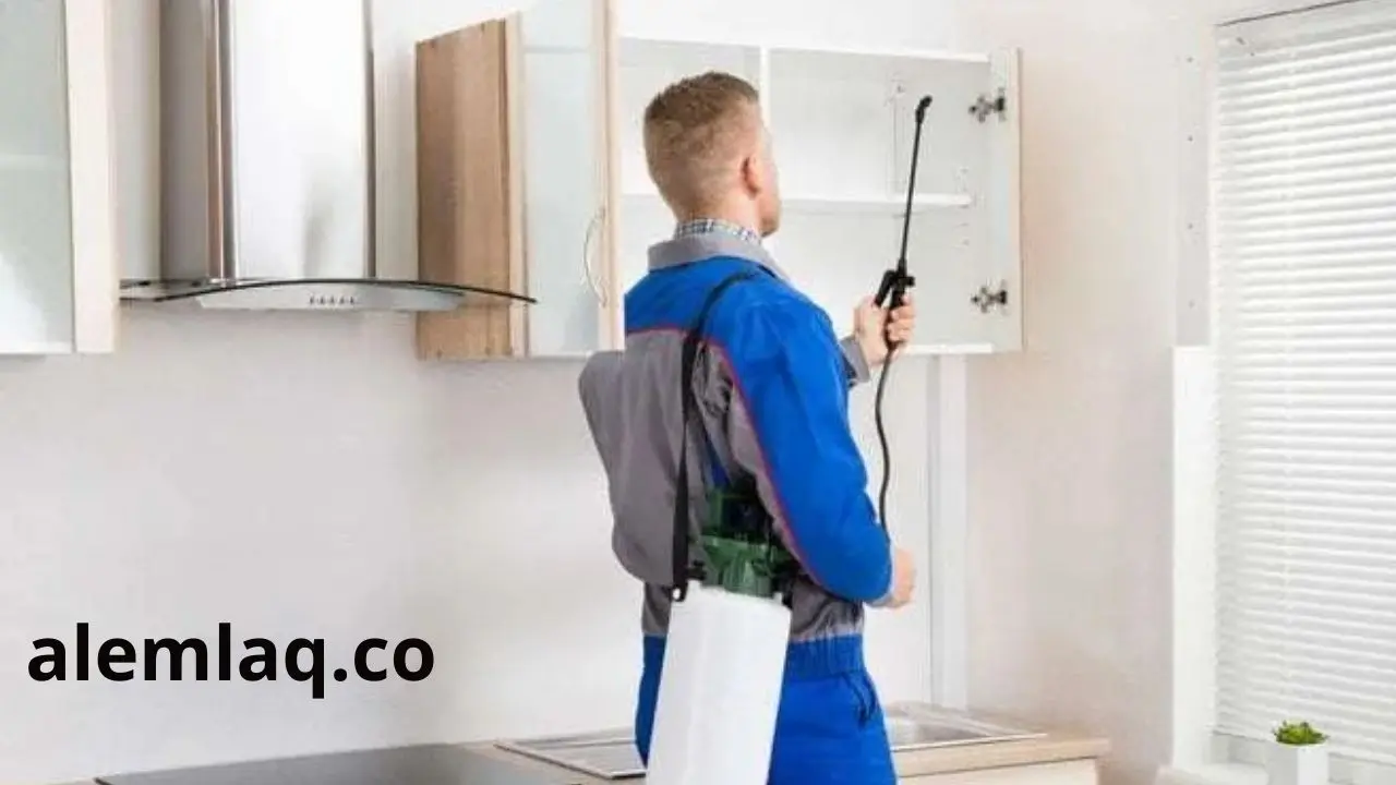 افضل شركة مكافحة الرمه في الفجيرة