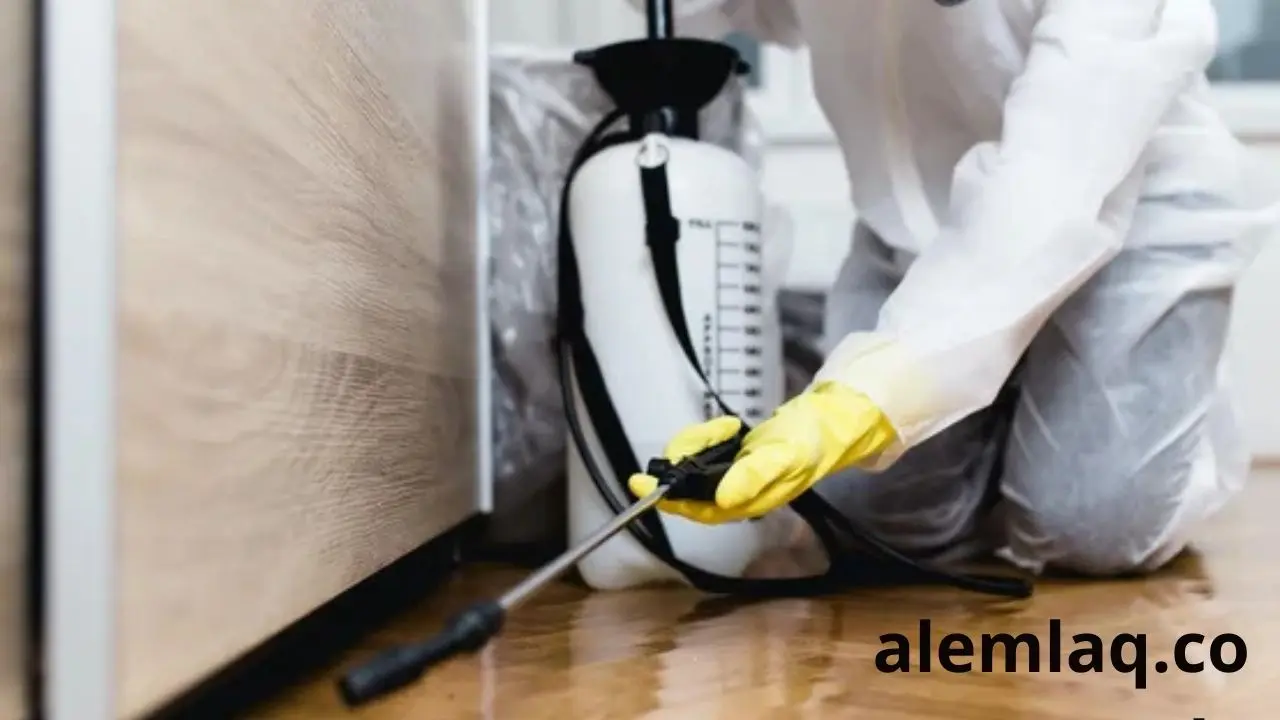 مكافحة السحالي في ابوظبي