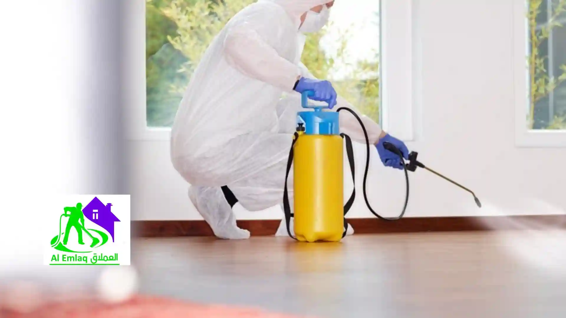 طرق مكافحة الحشرات في أبوظبي