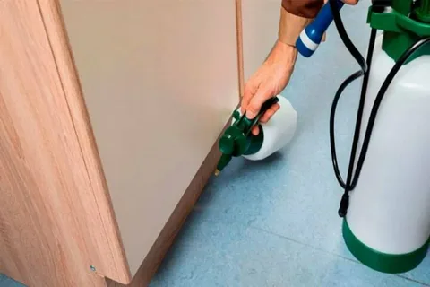 مكافحة الذباب في الشارقة