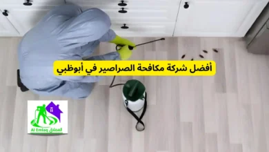 أفضل شركة مكافحة الصراصير في أبوظبي