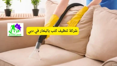 شركة تنظيف كنب بالبخار في دبي